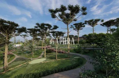 Terreno à venda, 3781 m² por r$ 1.735.000,00 - centro - campo alegre/sc