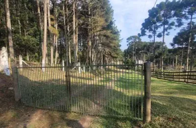 Terreno à venda no rio vermelho, campo alegre  por r$ 1.380.000