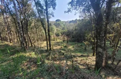 Terreno à venda na Zona Rural, Campo Alegre 