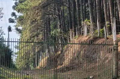 Terreno à venda no Rio Vermelho, Campo Alegre 