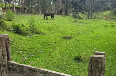 Chácara / sítio à venda em são miguel, campo alegre  por r$ 2.200.000