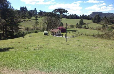 Chácara / sítio com 2 quartos à venda em são miguel, campo alegre , 50 m2 por r$ 500.000