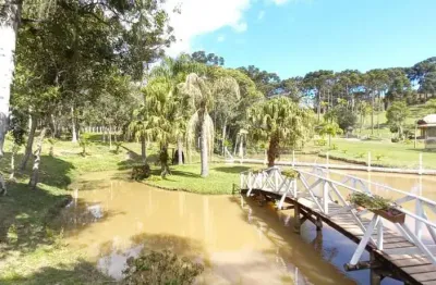 Chácara / sítio com 3 quartos à venda na avenquinha, campo alegre , 418 m2 por r$ 2.800.000