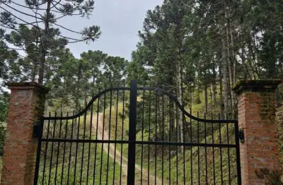 Terreno à venda em São Miguel, Campo Alegre 