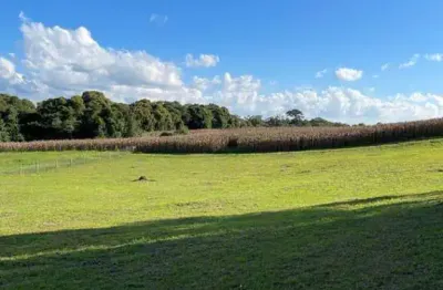 Terreno à venda no lageado, campo alegre  por r$ 980.000
