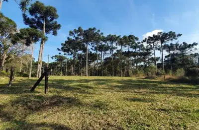 Terreno à venda no Rio Vermelho, Campo Alegre 