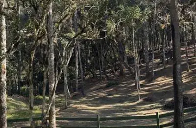 Terreno em condomínio fechado à venda no lageado, campo alegre , 200 m2 por r$ 880.000