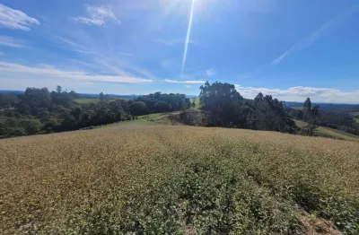 Terreno em condomínio fechado à venda no bateias de cima, campo alegre  por r$ 910.000