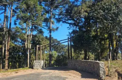 Terreno em condomínio fechado à venda no bateias de cima, campo alegre  por r$ 625.537