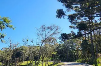 Terreno à venda no Saltinho, Campo Alegre 