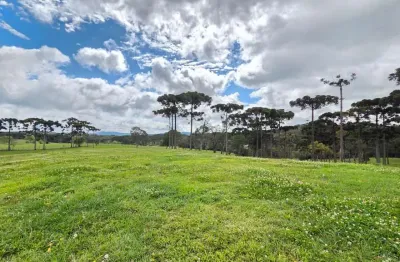 Terreno em condomínio fechado à venda no faxinal, campo alegre  por r$ 1.024.111