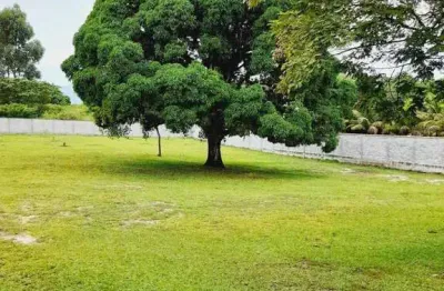 Sítio para venda em itaboraí, vila rica, 3 dormitórios, 1 suíte, 2 banheiros
