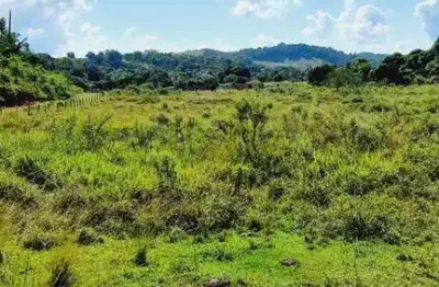 Fazenda para venda em rio bonito, sambé, 2 dormitórios, 1 banheiro