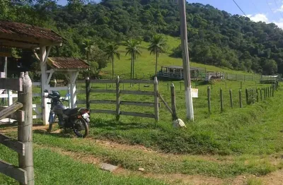 Sítio para Venda em Cachoeiras de Macacu, Maraporã, 2 dormitórios, 1 banheiro