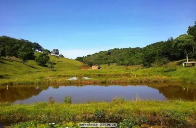 Sítio para venda em cachoeiras de macacu, papucaia, 2 dormitórios, 1 banheiro, 1 vaga