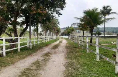 Sítio para venda em cachoeiras de macacu, papucaia, 3 dormitórios, 2 suítes, 1 banheiro, 1 vaga