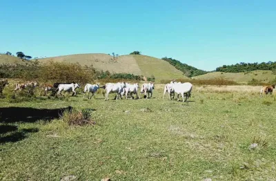 Fazenda para venda em silva jardim, imbaú, 3 dormitórios, 1 suíte, 1 banheiro, 1 vaga