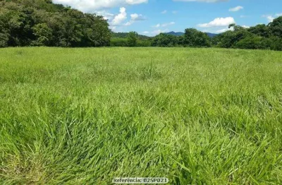 Sítio para venda em cachoeiras de macacu, papucaia, 3 dormitórios, 1 suíte, 2 banheiros, 4 vagas