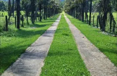 Fazenda para venda em silva jardim, boqueirão, 5 dormitórios, 2 banheiros, 2 vagas