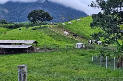 Sítio para venda em rio bonito, viçosa, 2 dormitórios, 1 suíte, 1 banheiro, 2 vagas