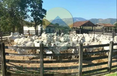 Fazenda para venda em rio bonito, braçanã, 6 dormitórios, 6 suítes, 3 banheiros, 2 vagas