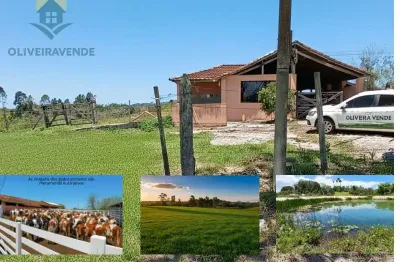 Fazenda para venda em araruama, são vicente de paula, 2 dormitórios, 2 banheiros, 2 vagas