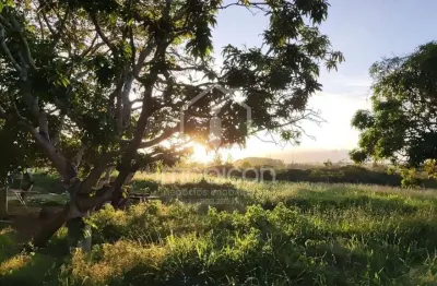 Terrenos urbanos com matrículas a partir de 1.000m²