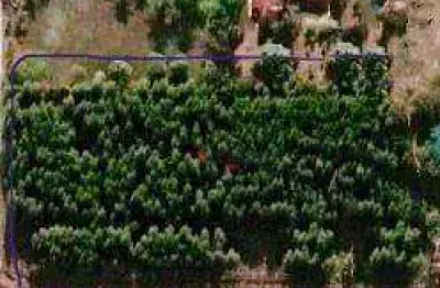 Terreno à venda, 5000 m² por r$ 350.000,00 - alpes das águas - são pedro/sp