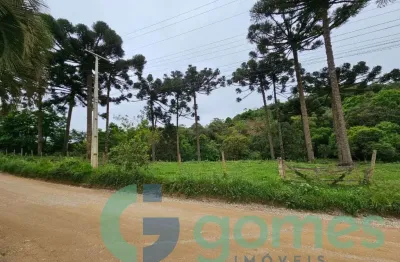 Terreno à venda, 9767 m² por r$ 500.000,00 - colônia antônio prado - almirante tamandaré/pr