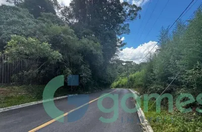 Terreno comercial à venda na Rua Benedito Carollo, 1415, Cidade Industrial, Curitiba