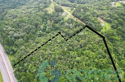 Terreno à venda, 27762 m² - campo alto - tijucas do sul/pr
