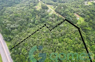 Terreno comercial à venda na Estrada João Claro Machado, 1, Campo Alto, Tijucas do Sul