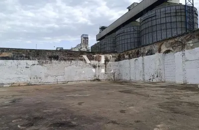 Terreno comercial para alugar na Rua Doutor Cochrane, Paquetá, Santos