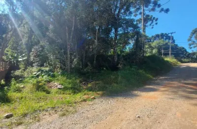 Terreno à venda na rua lapa, estados, fazenda rio grande por r$ 500.000