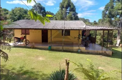 Chácara / sítio com 4 quartos à venda na br 476 rodovia do xisto e br, canoeiros, lapa, 70 m2 por r$ 150.000