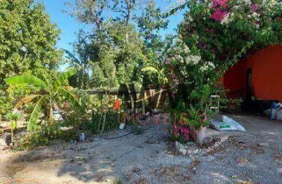 Chácara com 4000 m² por r$ 450.000 - zona rural - nazario/go