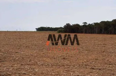 Fazenda com 2 dormitórios à venda, 387200 m² por r$ 4.000.000,00 - zona rural - americano do brasil/go