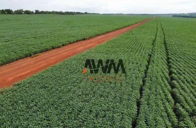 Fazenda à venda, 7066400 m² por r$ 24.000.000,00 - centro - paraíso do tocantins/to