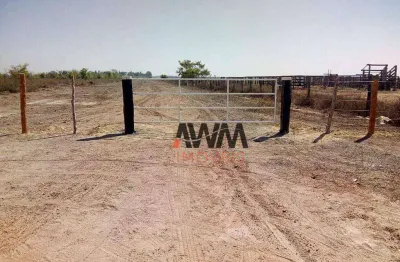 Fazenda à venda, 58080000 m² por r$ 130.000.000,00 - zona rural - santana do araguaia/pa