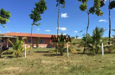 Fazenda à venda, 39688000 m² por r$ 123.000.000,00 - setor central - araguaína/to