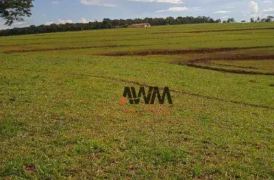 Fazenda à venda, 1597200 m² por r$ 10.230.000,00 - zona rural - americano do brasil/go