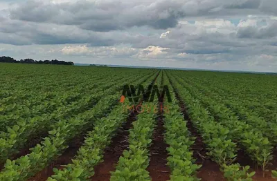 Fazenda à venda, 24829200 m² por r$ 61.560.000,00 - zona rural - pedro afonso/to