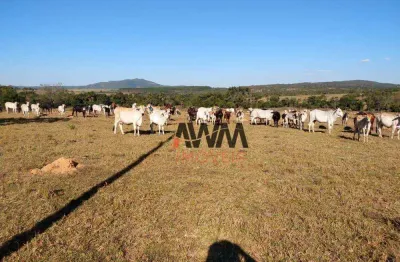 Fazenda à venda, 2129600 m² por r$ 5.000.000,00 - zona rural - uruana/go