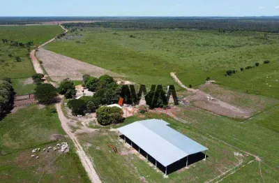 Fazenda à venda, 32912000 m² por r$ 70.000.000,00 - zona rural - peixes/to
