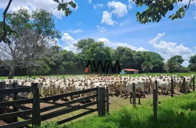 Fazenda à venda, 5234944 m² por r$ 8.652.800,00 - zona rural - cocalinho/mt