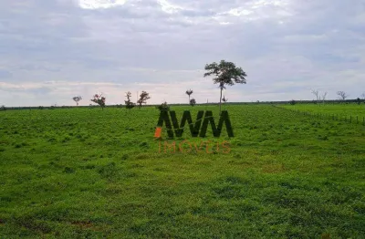 Fazenda à venda, 50820000 m² por r$ 157.500.000,00 - centro - caseara/to