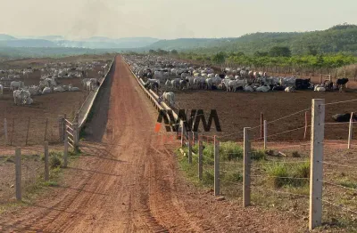 Fazenda à venda, 30000000 m² por r$ 71.300.000,00 - zona rural - pindorama do tocantins/to