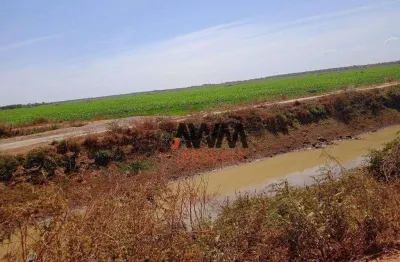 Fazenda à venda, 7260 ha por r$ 225.000.000 - javaés - lagoa da  confusão/to