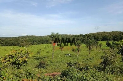 Fazenda à venda, 51691200 m² por r$ 37.080.000,00 - centro - miracema/to
