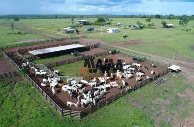 Fazenda à venda, 62800000 m² por r$ 130.000.000,00 - zona rural - paranatinga/mt